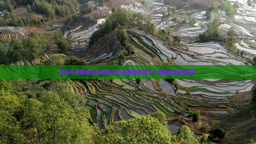 如何从阜阳前往云南丽江必去的旅游景点？哪些痛点需注意？