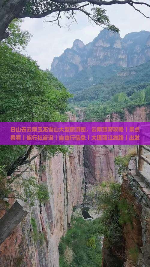 白山去云南玉龙雪山大型旅游团，云南旅游攻略｜景点看看｜旅行社咨询｜自由行信息｜大理丽江线路｜出发自由