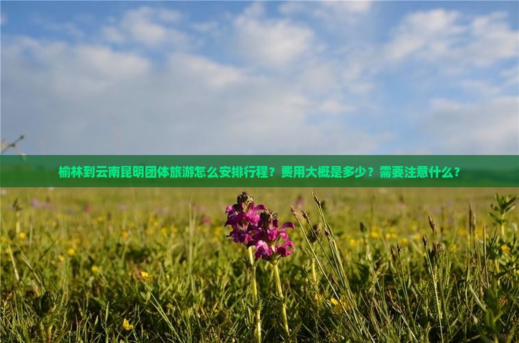 榆林到云南昆明团体旅游怎么安排行程？费用大概是多少？需要注意什么？