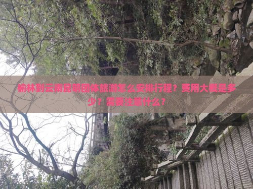 榆林到云南昆明团体旅游怎么安排行程？费用大概是多少？需要注意什么？