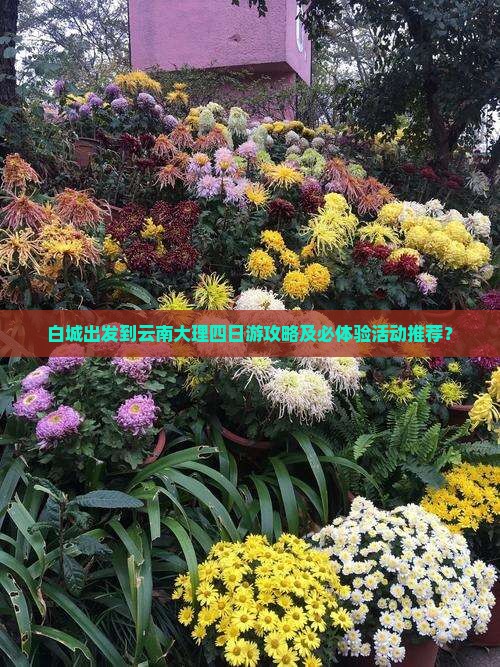 白城出发到云南大理四日游攻略及必体验活动推荐？