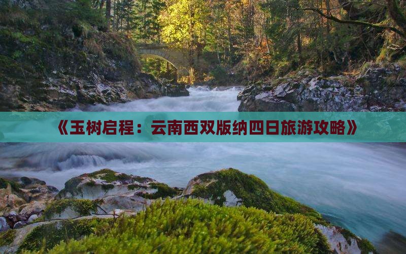 《玉树启程：云南西双版纳四日旅游攻略》
