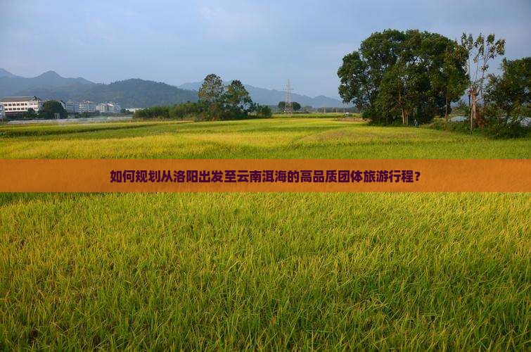 如何规划从洛阳出发至云南洱海的高品质团体旅游行程？