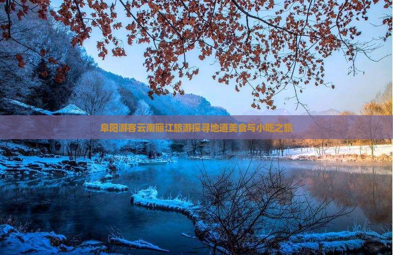 阜阳游客云南丽江旅游探寻地道美食与小吃之旅