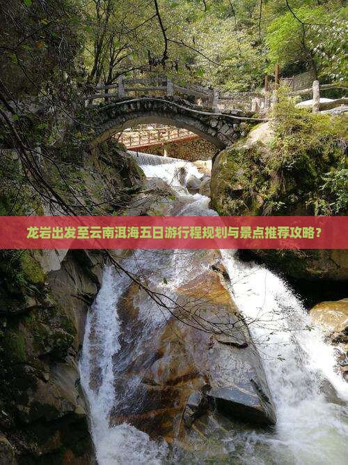 龙岩出发至云南洱海五日游行程规划与景点推荐攻略？