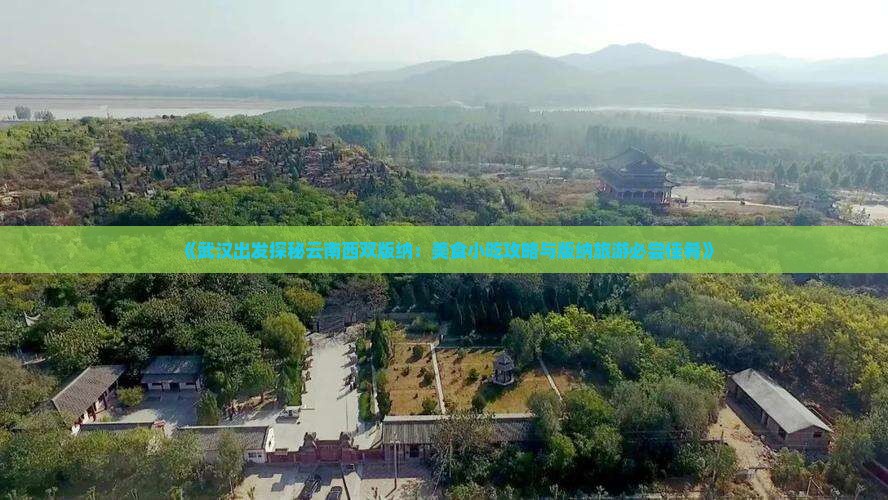 《武汉出发探秘云南西双版纳：美食小吃攻略与版纳旅游必尝佳肴》