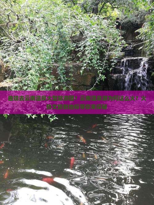 曲靖去云南温泉大型旅游团?云南温泉游为何这么火?火热文旅新地标等你来探秘 曲靖去云南温泉大型旅游团?云南温泉游为何这么火?火热文旅新地标等你来探秘