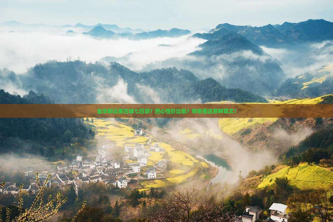 金华到云南古城七日游？担心性价比低？快来看这条种草文！