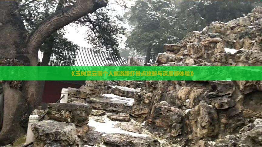 《玉树至云南个人旅游路虾景点攻略与深度游体验》