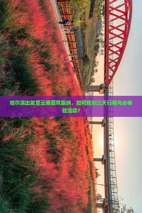 哈尔滨出发至云南西双版纳，如何规划三天行程与必体验活动？