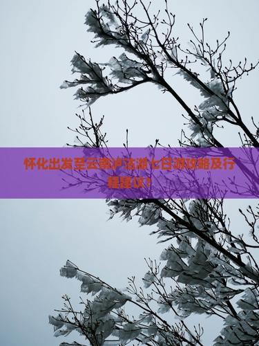 怀化出发至云南泸沽湖七日游攻略及行程建议？