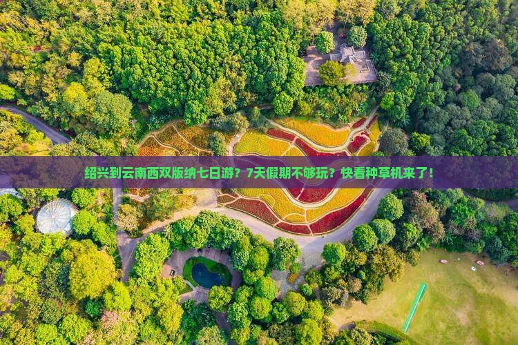 绍兴到云南西双版纳七日游？7天假期不够玩？快看种草机来了！