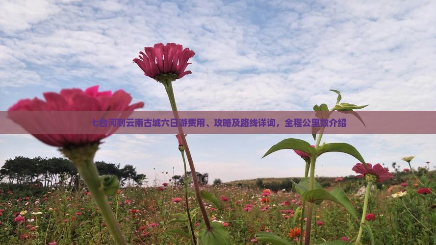 七台河到云南古城六日游费用、攻略及路线详询，全程公里数介绍