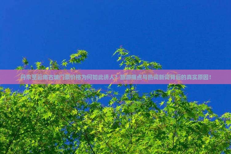 丹东至云南古城门票价格为何如此诱人？旅游痛点与热词新词背后的真实原因！
