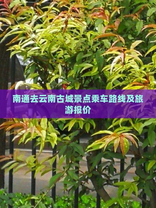 南通去云南古城景点乘车路线及旅游报价