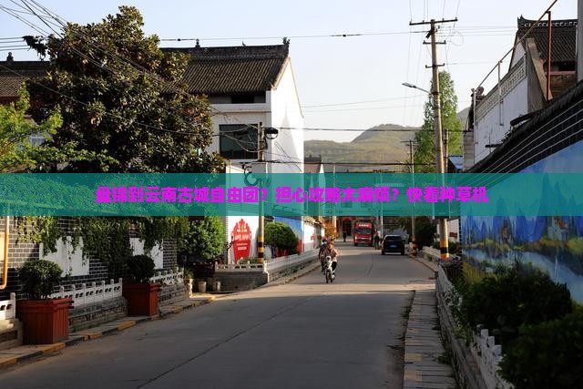 盘锦到云南古城自由团？担心攻略太麻烦？快看种草机