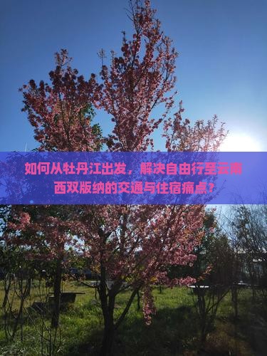 如何从牡丹江出发，解决自由行至云南西双版纳的交通与住宿痛点？