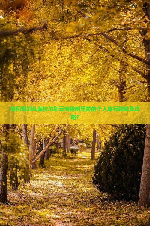 如何规划从海拉尔到云南香格里拉的个人旅行路线及攻略？