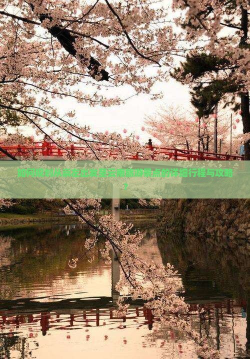 如何规划从崇左出发至云南旅游景点的详细行程与攻略？