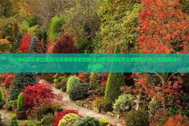 大兴安岭到云南古城旅行|云南旅游全攻略|景点路线规划|河北游客的云南之旅|国际旅行社推荐