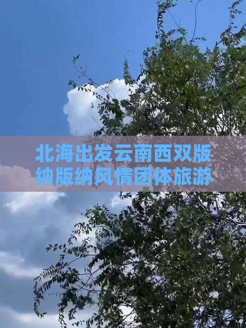 北海出发云南西双版纳版纳风情团体旅游盛宴