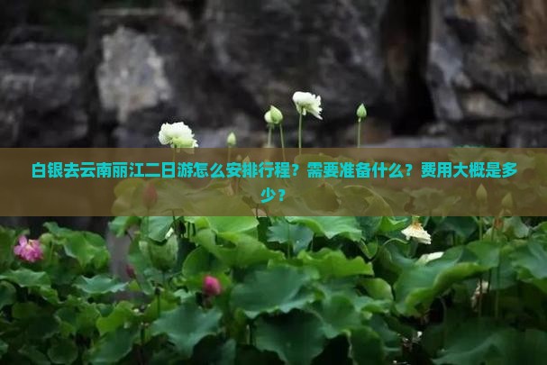 白银去云南丽江二日游怎么安排行程？需要准备什么？费用大概是多少？