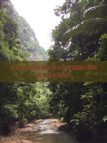 内江出发至云南昆明大型旅游团行程安排与报名详情？