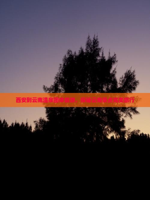 西安到云南温泉团体旅游，探秘云南景点完美旅行