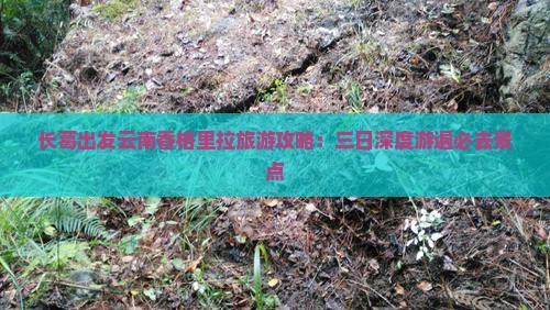 长葛出发云南香格里拉旅游攻略：三日深度游遍必去景点