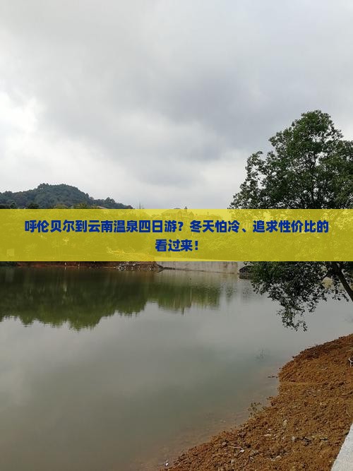 呼伦贝尔到云南温泉四日游？冬天怕冷、追求性价比的看过来！