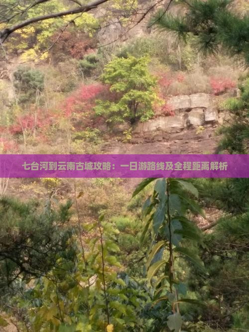 七台河到云南古城攻略：一日游路线及全程距离解析