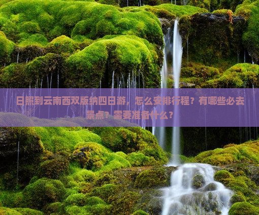 日照到云南西双版纳四日游，怎么安排行程？有哪些必去景点？需要准备什么？