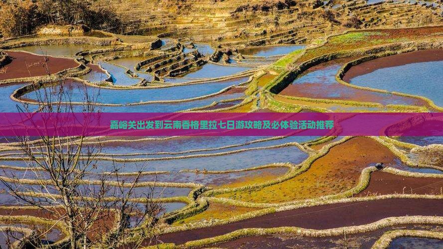 嘉峪关出发到云南香格里拉七日游攻略及必体验活动推荐
