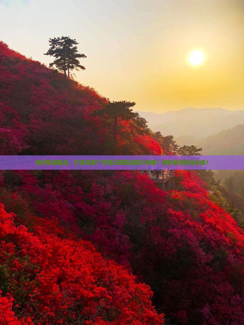 如何规避痛点，打造完美广州至云南洱海旅行攻略？哪些新词热词必备？