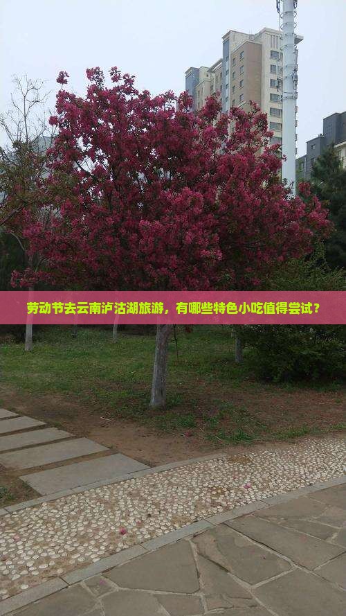 劳动节去云南泸沽湖旅游，有哪些特色小吃值得尝试？