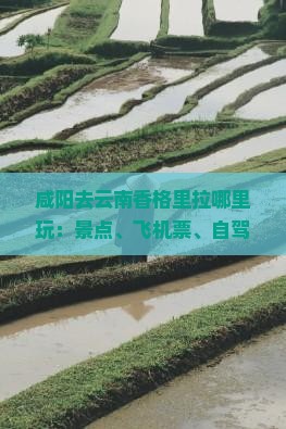 咸阳去云南香格里拉哪里玩：景点、飞机票、自驾路线、报团价格指南