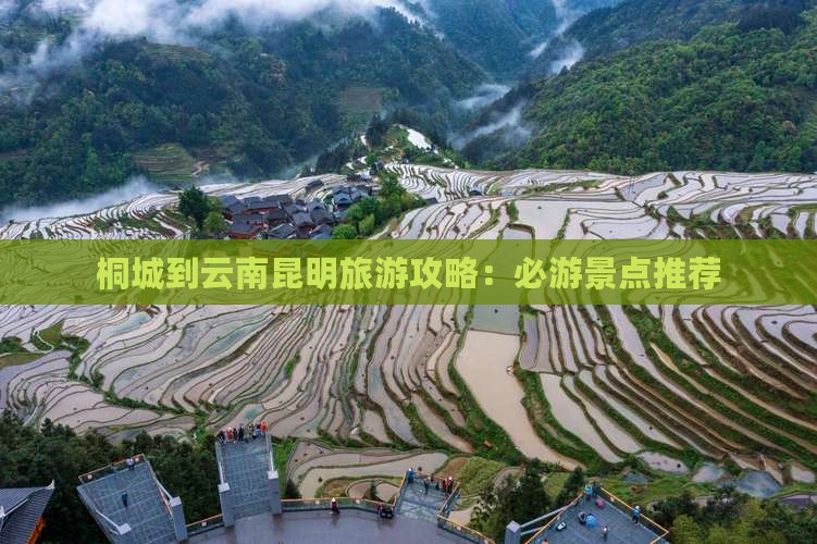 桐城到云南昆明旅游攻略：必游景点推荐