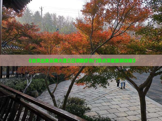《自贡出发云南大理三日游路虾热门景点深度旅游攻略》