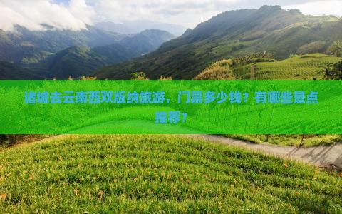 诸城去云南西双版纳旅游，门票多少钱？有哪些景点推荐？