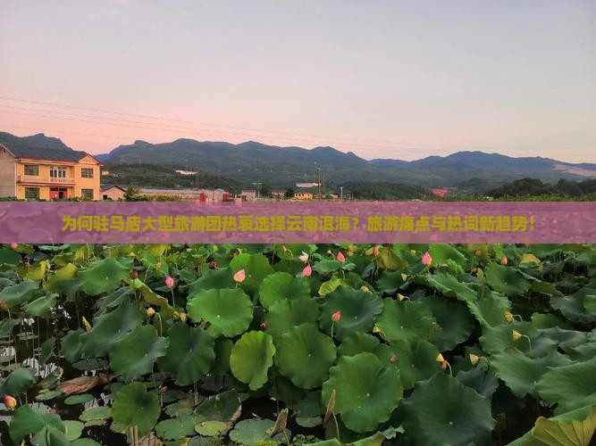 为何驻马店大型旅游团热衷选择云南洱海？旅游痛点与热词新趋势！
