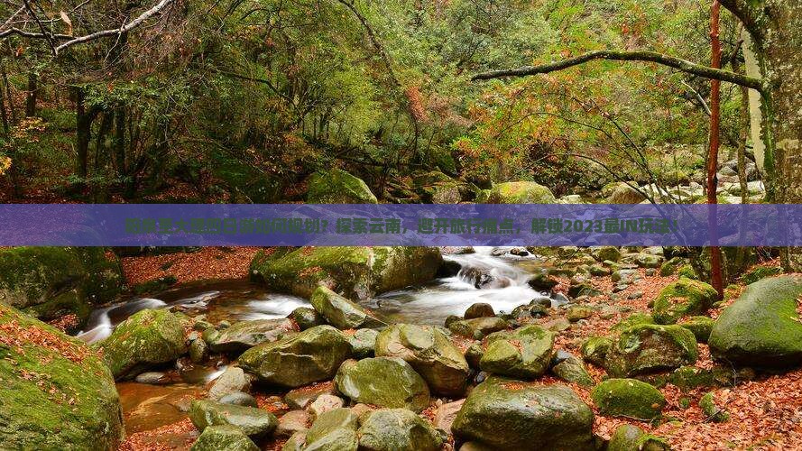 阳泉至大理四日游如何规划？探索云南，避开旅行痛点，解锁2023最IN玩法！