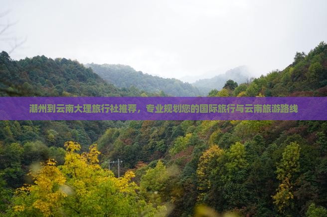 潮州到云南大理旅行社推荐，专业规划您的国际旅行与云南旅游路线