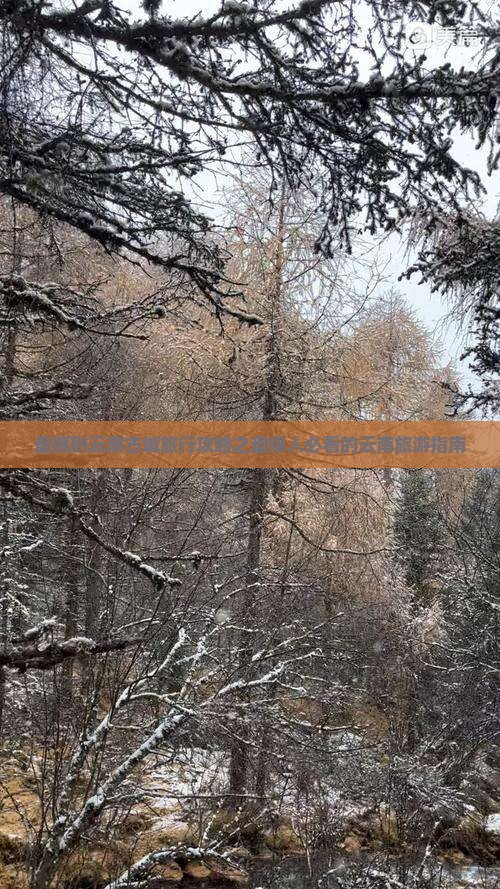 盘锦到云南古城旅行攻略之盘锦人必看的云南旅游指南
