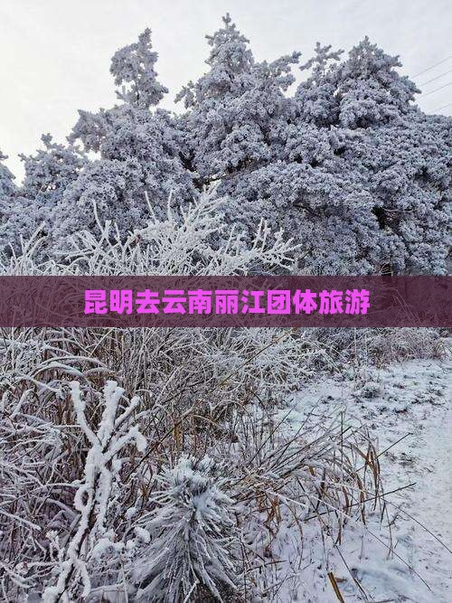 昆明去云南丽江团体旅游