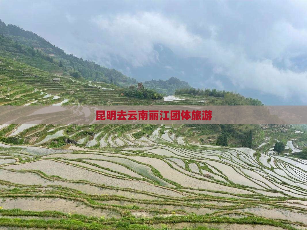 昆明去云南丽江团体旅游