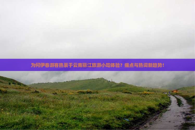 为何伊春游客热衷于云南丽江旅游小吃体验？痛点与热词新趋势！