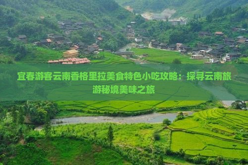 宜春游客云南香格里拉美食特色小吃攻略：探寻云南旅游秘境美味之旅
