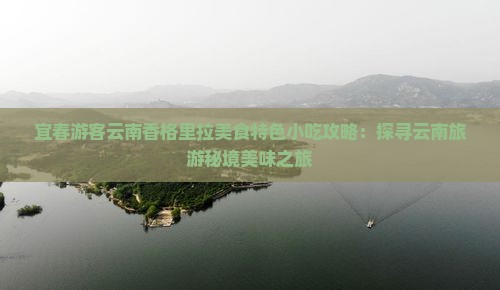 宜春游客云南香格里拉美食特色小吃攻略：探寻云南旅游秘境美味之旅