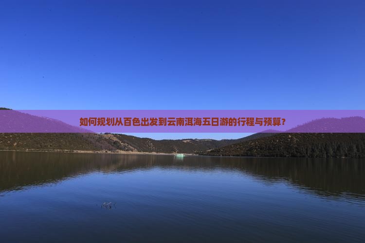 如何规划从百色出发到云南洱海五日游的行程与预算？