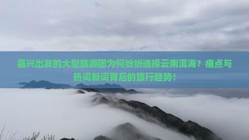 嘉兴出发的大型旅游团为何纷纷选择云南洱海？痛点与热词新词背后的旅行趋势！